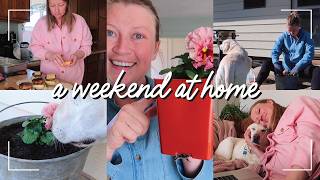 WEEKEND VLOG: relaxing at home, meal prepping, home refresh 🌷🏠🍓
