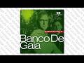 Banco De Gaia - Desert Wind (Interstate 101 Mix)