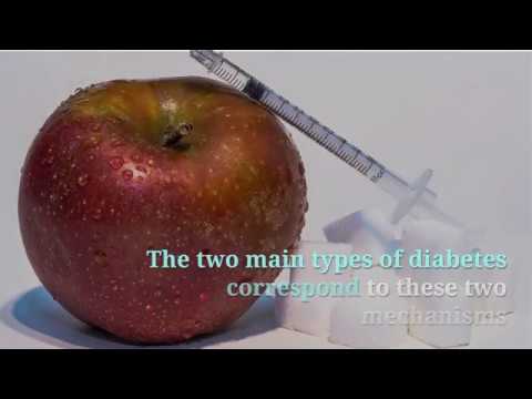 diabetes-mellitus-definition-and-types