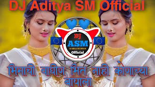 भिमाची वाघीण भित नाही कोणाच्या बापाला Bhimachi Waghin Bhit Nay Konachya Bapala DJ Aditya SM Official