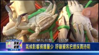 105 0829 東港市場秋蟹來報到 一同「蟹」逅幸福滋味