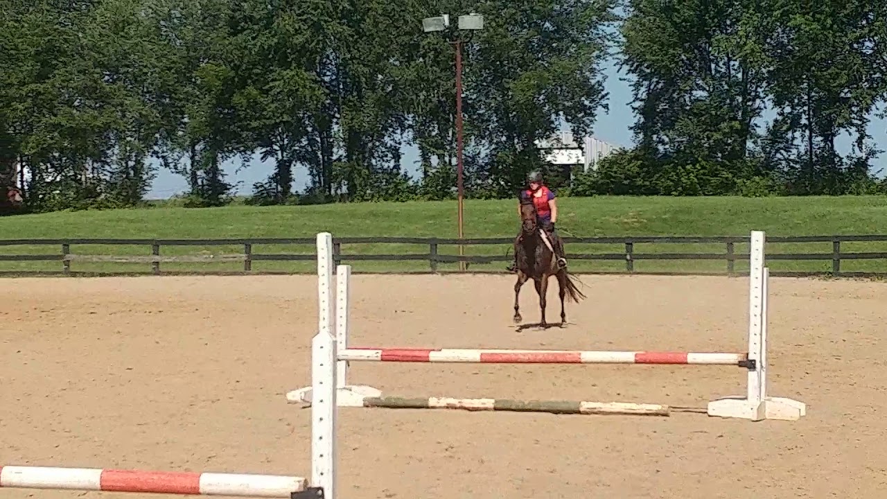 Hang On Helen's first course! (FOR SALE)