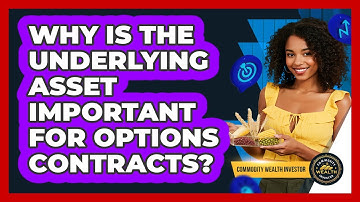 Why Is The Underlying Asset Important For Options Contracts? - Commodity Wealth Investor