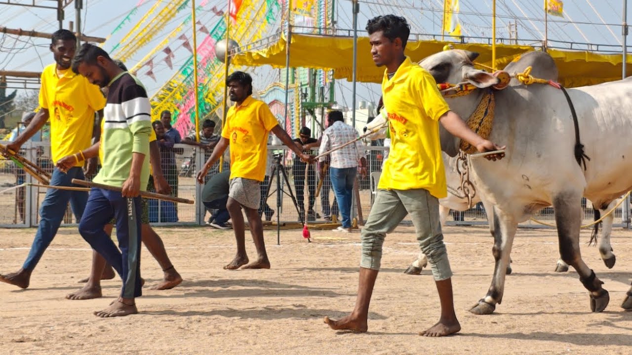 చిలకలూరిపేట 2పళ్ళు విభాగంలో 14వ జత