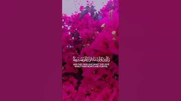 تلاوة خاشعة / صوت رائع /راحة نفسية /ماشاء الله #تلاوة_خاشعة #اكسبلور #آيات