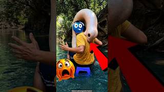 Survival Skills: SMART ideas and Useful in forest #survival #useful #ideas #smart #shorts #camping