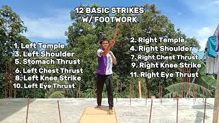 Celebrity “12 Basic Strikes & 12 Basic Blocks w/ footwork in Arnis” Wealth