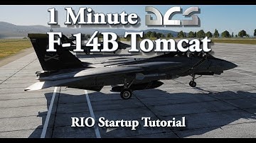 1 Minute DCS - F-14B Tomcat - RIO Startup Tutorial