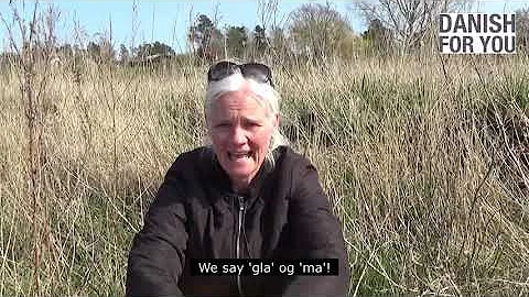 Det bløde 'd'/The soft 'd' by Danish for You