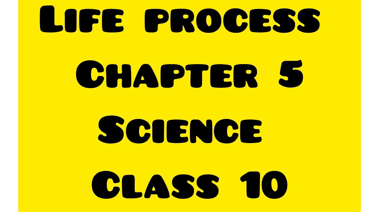 # Class 10 ,# Bio Chapter 5, # Science Life process Notes - YouTube