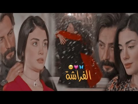 الفراشة انتي يابعد گلبي حالات واتس اب    محمود التركي
