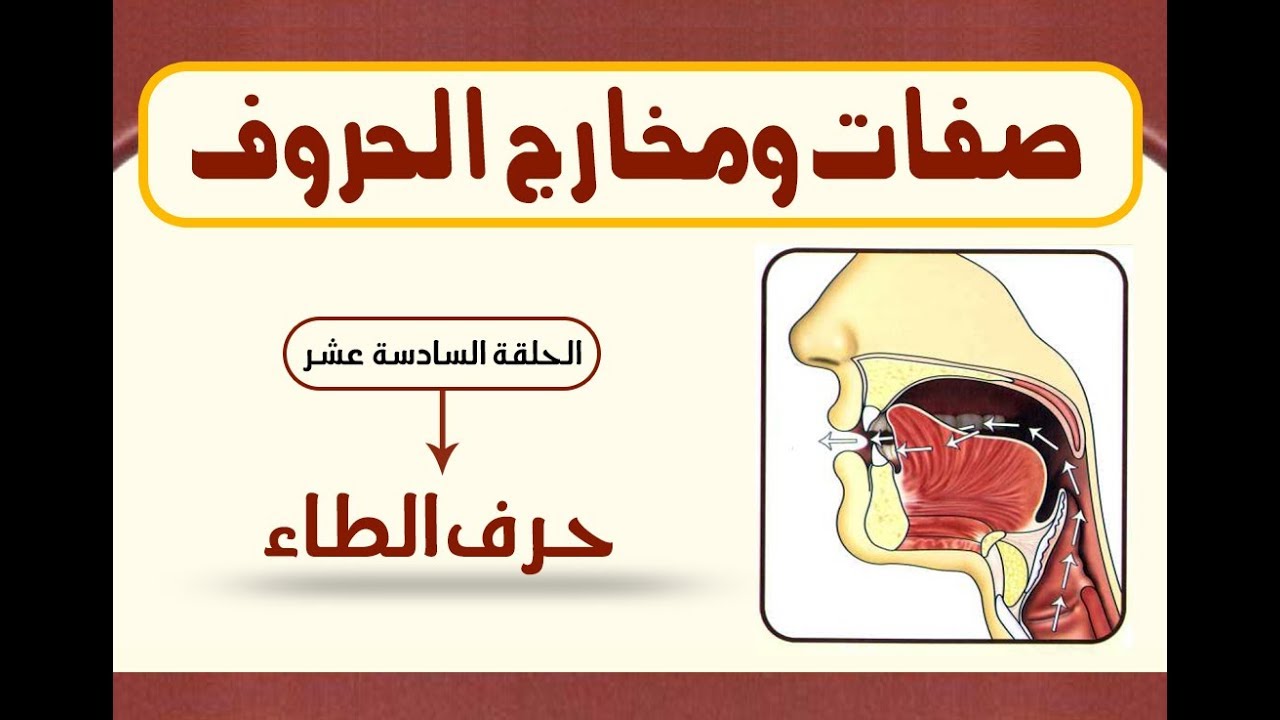 الحروف الطاء من حرف الطاء