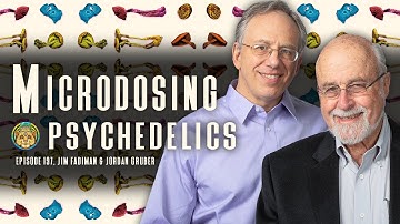 Microdosing for Health, Healing, and Enhanced Performance | Jim Fadiman and Jordan Gruber ~ 197