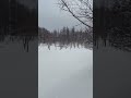 Winter paints the Blue Pond in whispers of white. ❄️ #sapporo #snowfall #japan #hokkaido #shorts