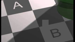 Adelson checkerboard optical illusion