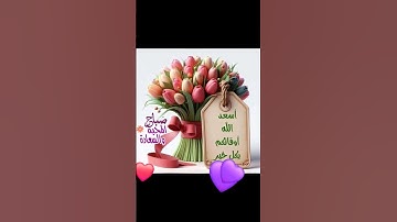 أسعد الله صباحكم وجميع أوقاتكم بكل خير وبركة 😍☀️ #القرآن_الكريم #المصحف#تلاوة_خاشعة#تريح_القلب😍💜