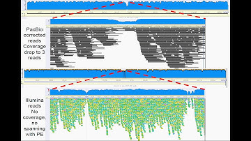 R Woycicki: De-Novo sequencing of the Paramecium tetraurelia MAC genome using PacBio long reads