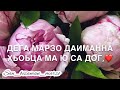 Песня для мужа/парня