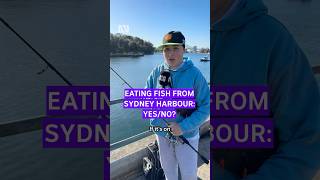Would you eat fish from Sydney Harbour? 🎤 @Maddie Massy #fishinglife #fishtok #stem