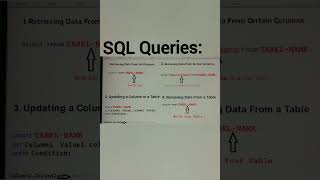 SQL Queries for Beginners