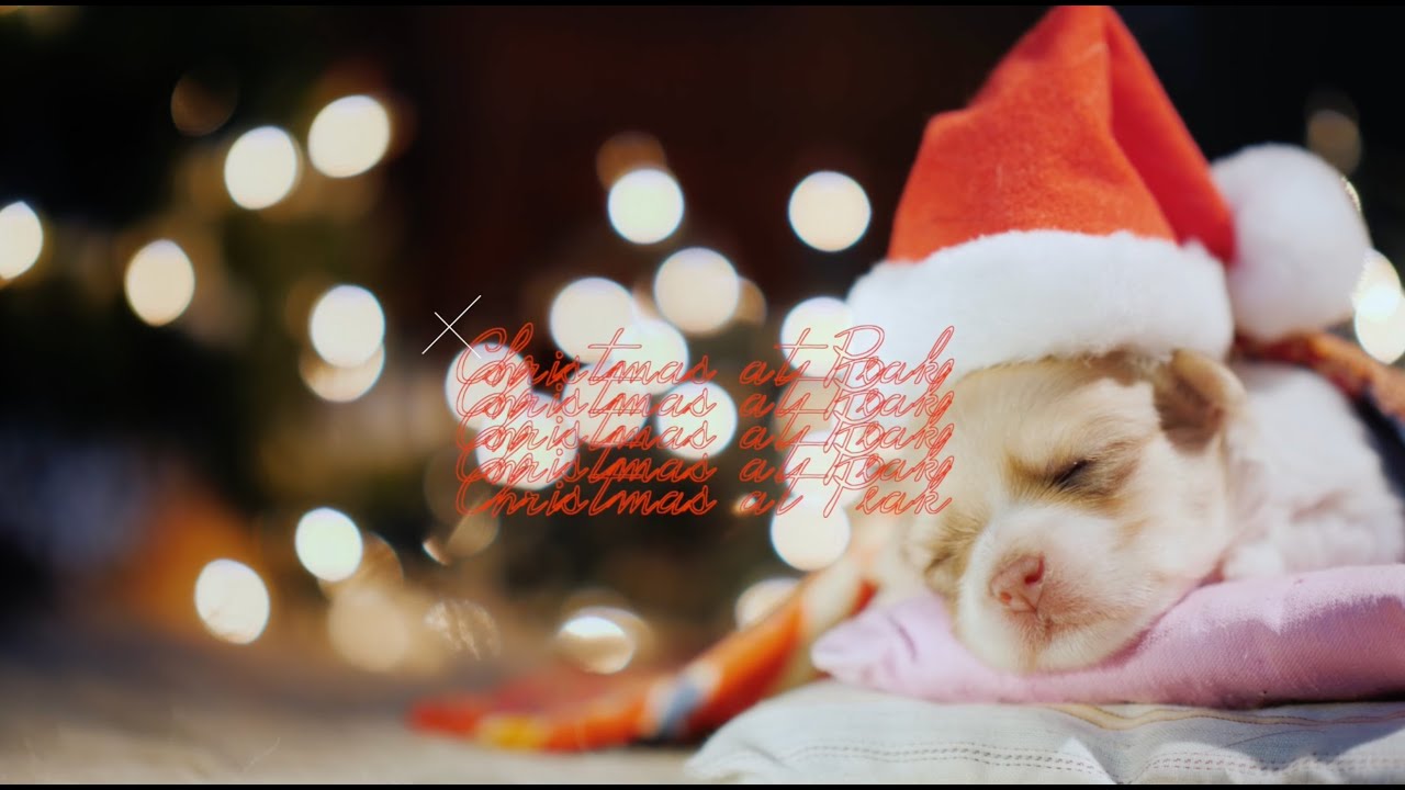 Peak News - Coming This December