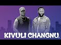 Roma Mkatoliki Nay Wa Mitego Stamina MNATUKEJELI Official Music