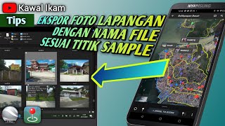Tips EKSPOR FOTO LAPANGAN dengan NAMA FILE SESUAI TITIK SAMPLE #avenzamaps #googleearth #znt