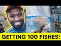 Getting 100 fishes...Gone wrong..! | Vijay viruz