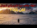 بطريق عدمي في أنتاركتيكا قصة تمرد لقاءات من بداية العالم بطريق عدمي في أنتاركتيكا قصة تمرد لقاءات من بداية العالم