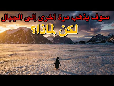بطريق عدمي في أنتاركتيكا قصة تمرد لقاءات من بداية العالم
