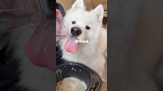 お好み焼き風ごはん作ったら爆食してくれました!