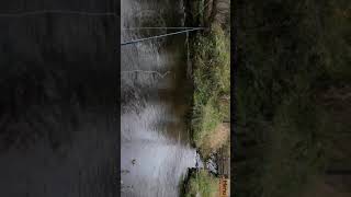 Playing fly fishing simulator screenshot 2