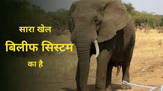 Belief system | Elephant rope | Mind control | Hindi Motivational Story