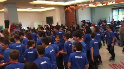 MegaDojo Timisoara 2018