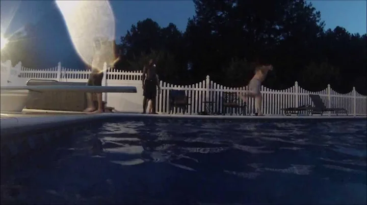 Summer Night Compilation Film