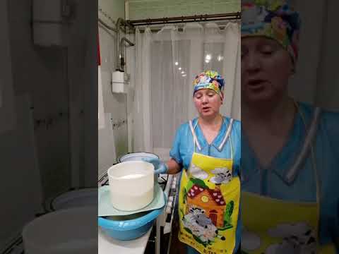 СЫР СУЛУГУНИ. Видео рецепт. Сыр в домашних условиях.