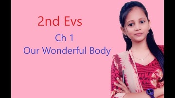 Class 2 .... Evs..Ch 1 our wonderful body  part 1