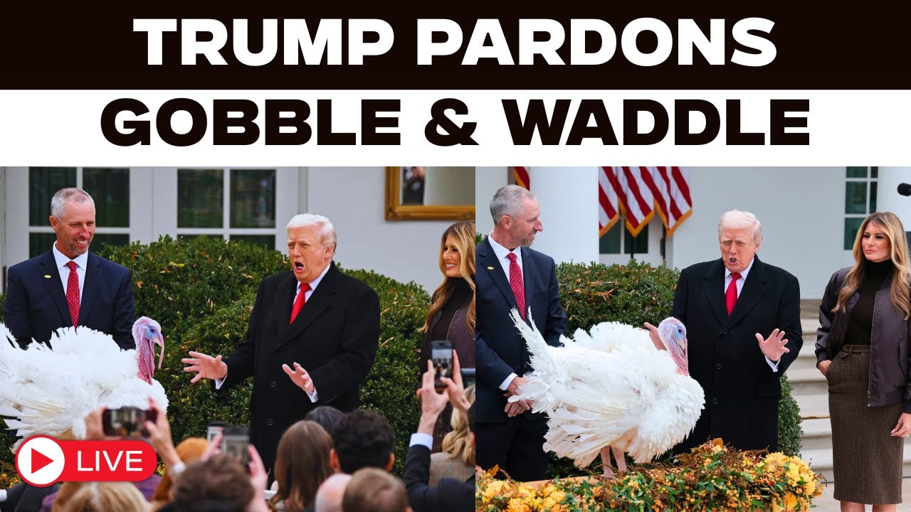 Trump LIVE: Trump Pardons Turkeys Gobble and Waddle in Annual Thanksgiving Tradition | White House