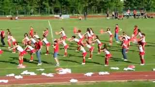 MVI 2341 Canale A clip 1