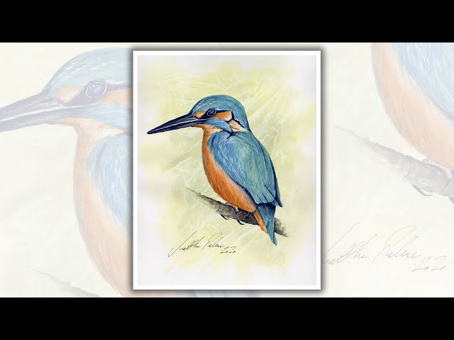 Paint a Kingfisher in Watercolours with Matthew Palmer