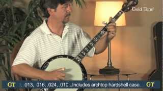 Gold Tone OB-250+ Banjo