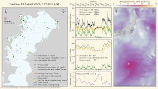 Tokyo Bay AIS Vessel Traffic Animation Through Typhoon Ampil in August 2024