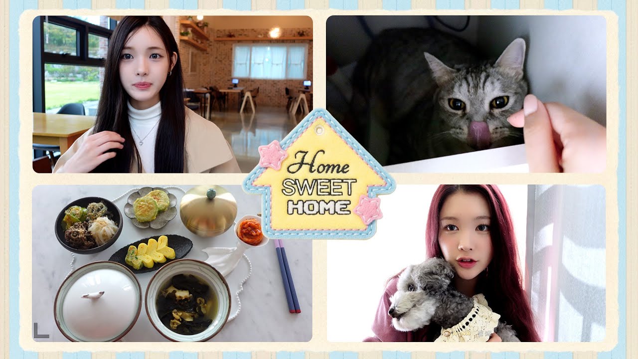 [vlog] 집에서 보낸 연휴 브이로그🏠ㅣ쌍둥이랑 칸쵸깡 ・ 고양이랑 놀기 ・ 가족들과 호캉스 ・ 사랑 가득 집밥ㅣHSH (HOME SWEET HOME)