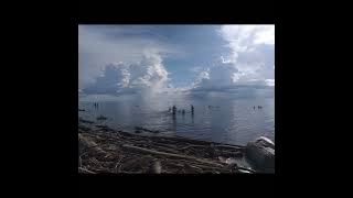 N49191 94$4VAN1 - 888 [Full Album]