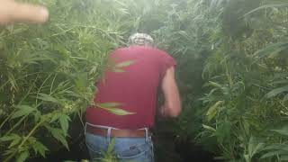 Pops Visiting the Farm