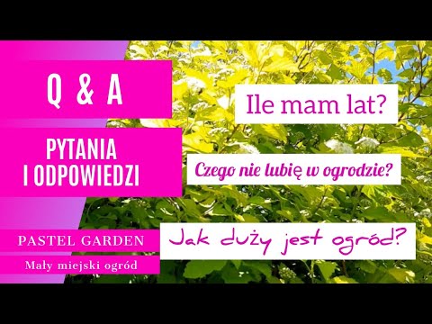 Q&A - Czyli pytania i odpowiedzi. Czego nie lubię w ogrodzie ? Ile mam lat? Jak duży jest ogród?