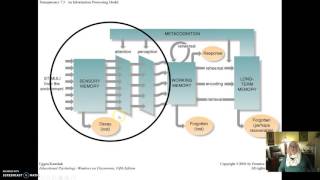EDP 201 Module 8 Cognitive Part 2