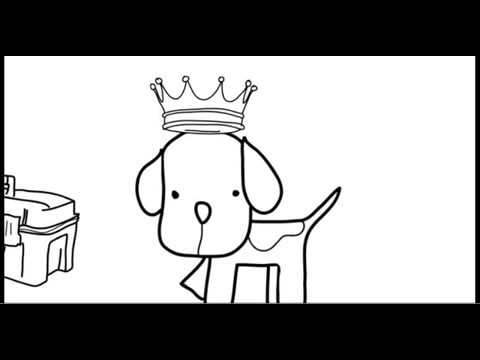 dog-training-system-reviews