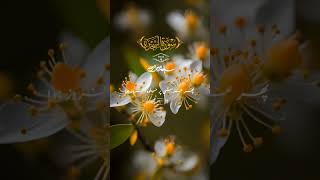 Translation  of Surah  Sajdah verse 4#shortsvideo #qurantranslation #foryou