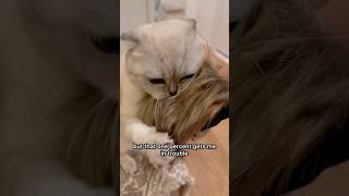 I Always Get In Trouble